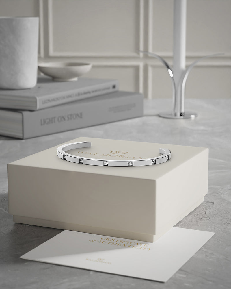 A Bangle Bracelet in stainless steel from Waldor & Co. The model is Brilliant Bangle Polished.